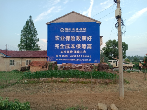 仙游墙体广告为何受追捧？